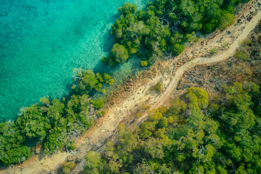 Mangrove View