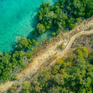 Mangrove View