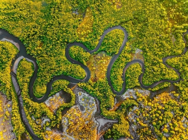 Meandering-Creek