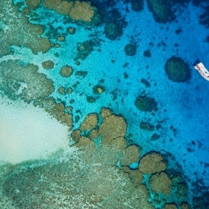 Wheeler Reef
