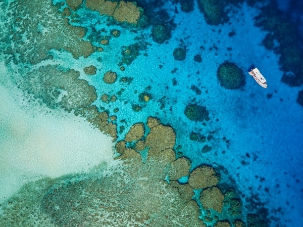 Wheeler Reef