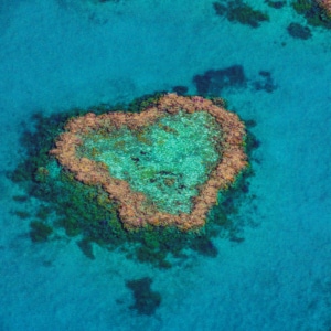 Hardy Reef