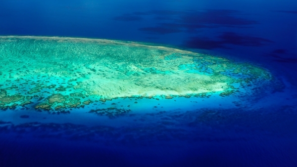Lodestone Reef