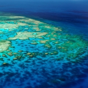 Lodestone Reef