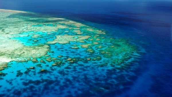 Lodestone Reef