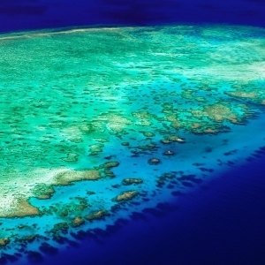 Lodestone Reef