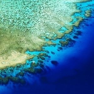 Lodestone Reef