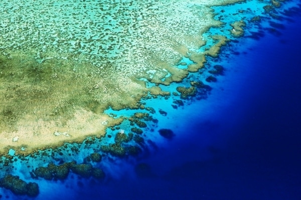 Lodestone Reef