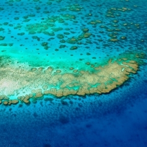 Lodestone Reef