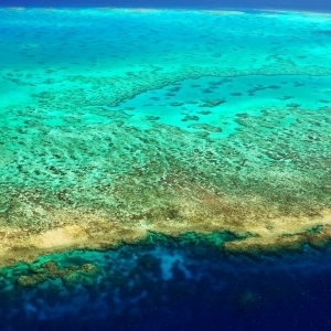 Lodestone Reef