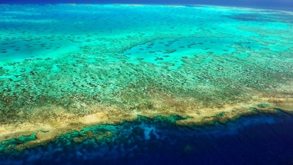 Lodestone Reef