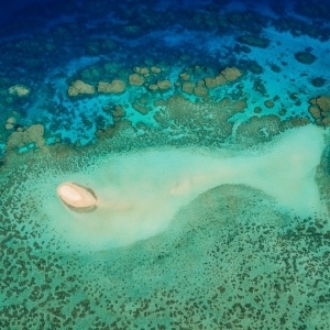 Wheeler Reef