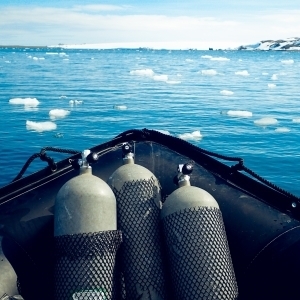 Diving