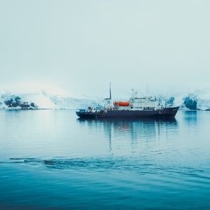 Polar Pioneer and Elephant Seals