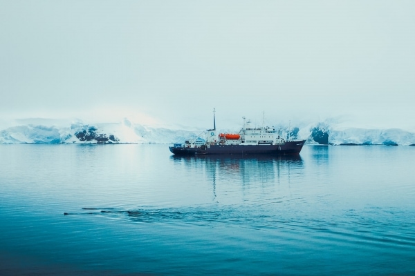 Polar Pioneer and Elephant Seals