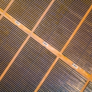 Solar Farm