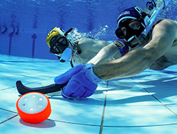 Underwater Hockey Nq Cup