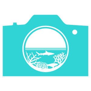 SkyReefPhoto logo showing a camera and coral reef