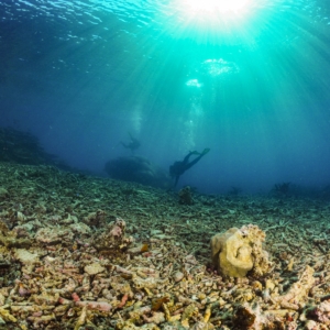 Gbr By Skyreefphoto