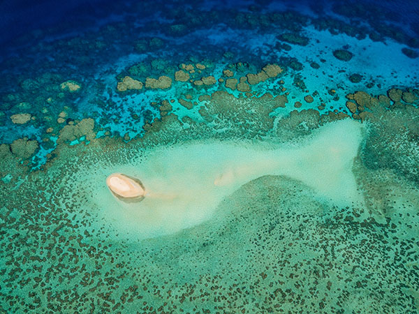 The Big Sandy Cay In Form Of A Fish At Wheeler Reef, Great Barri