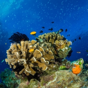 Vibrant Underwater Highway